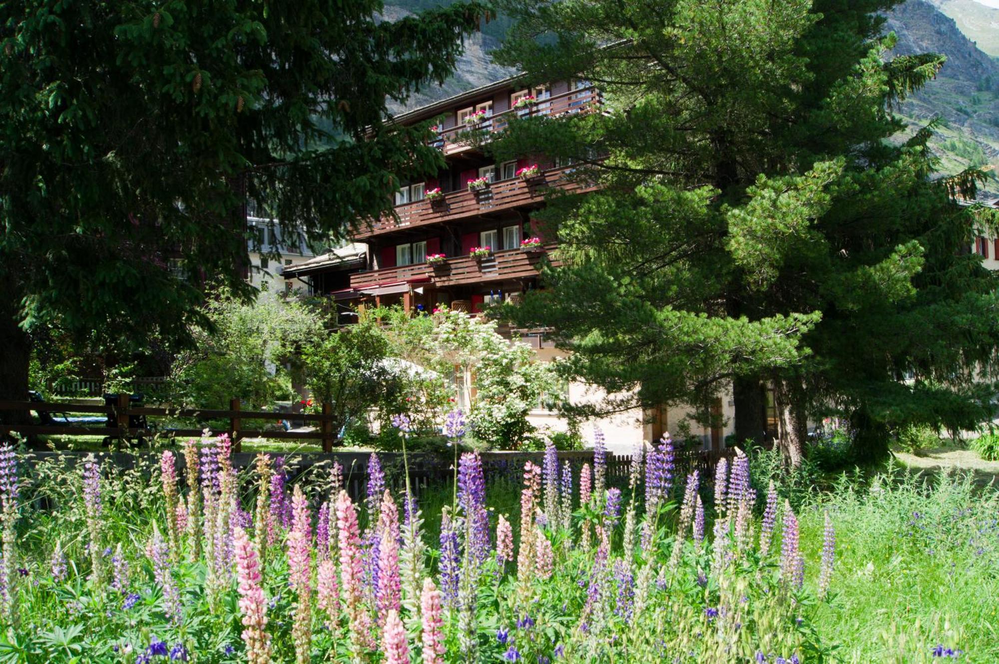 Hotel Alpina Zermatt Exterior foto
